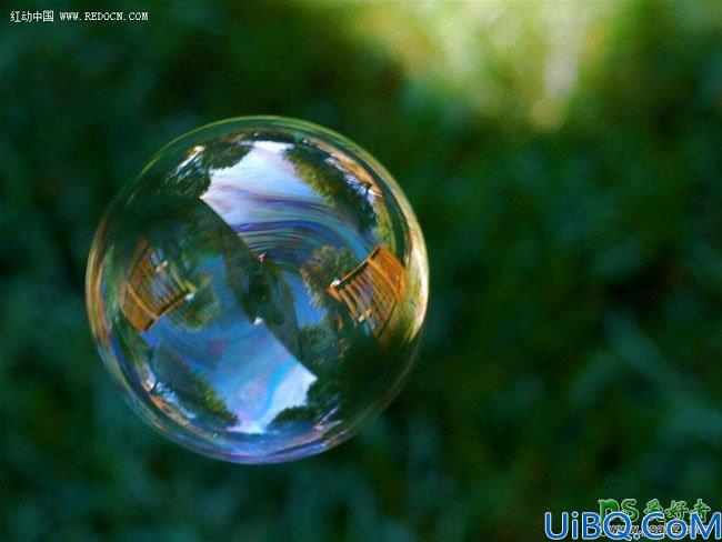 photoshop合成实例教程：打造一只透明玻璃质感的癞蛤蟆-透明蛤蟆