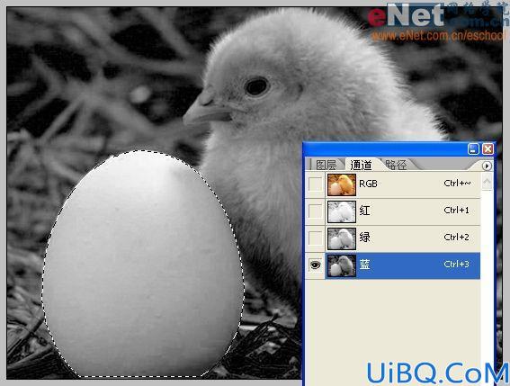 Photoshop合成蛋壳里的小鸡