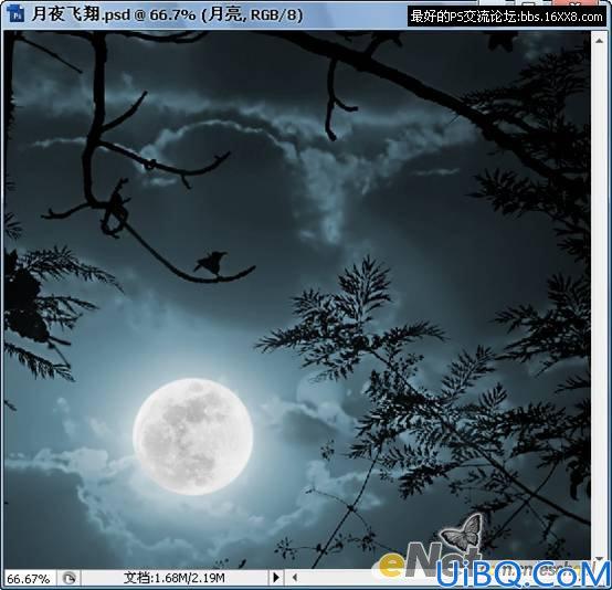 Photoshop照片合成教程:黑夜中飞翔的鸽子