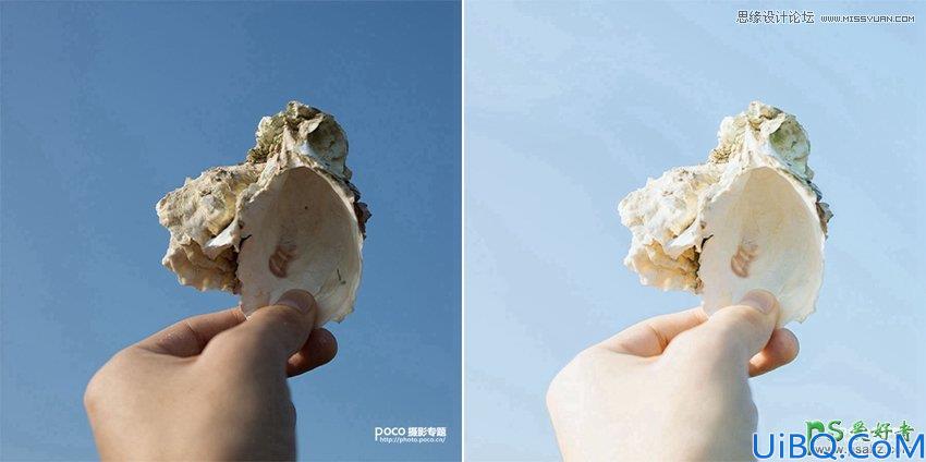 Photoshop图片后期调色教程：打造小清新风格的蓝色调贝壳图片