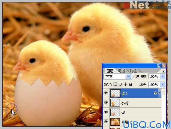 Photoshop合成蛋壳里的小鸡