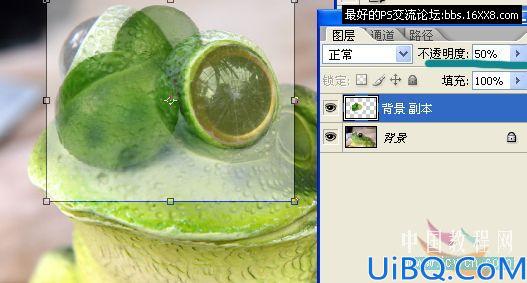 Photoshop照片合成教程:变异的青蛙
