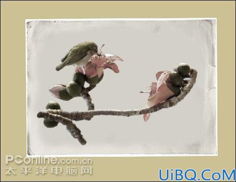 photoshop合成创意:蜕变的木棉花--hecheng