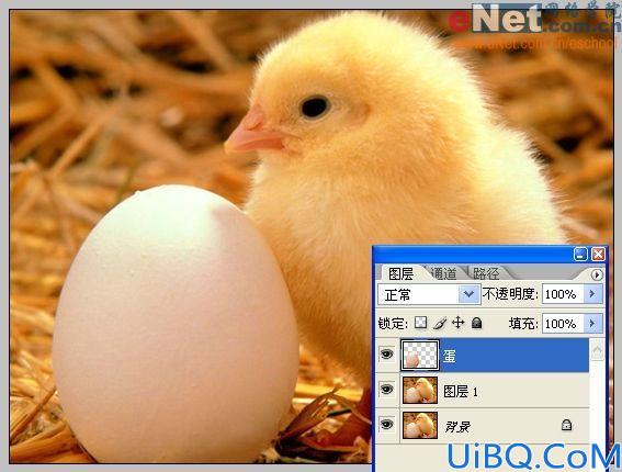 Photoshop合成蛋壳里的小鸡