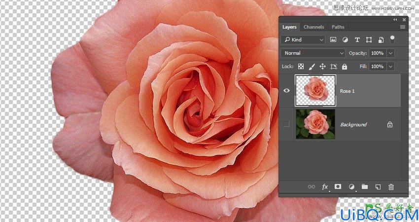 Photoshop设计创意的花体艺术字，花卉纹理主题个性字体。