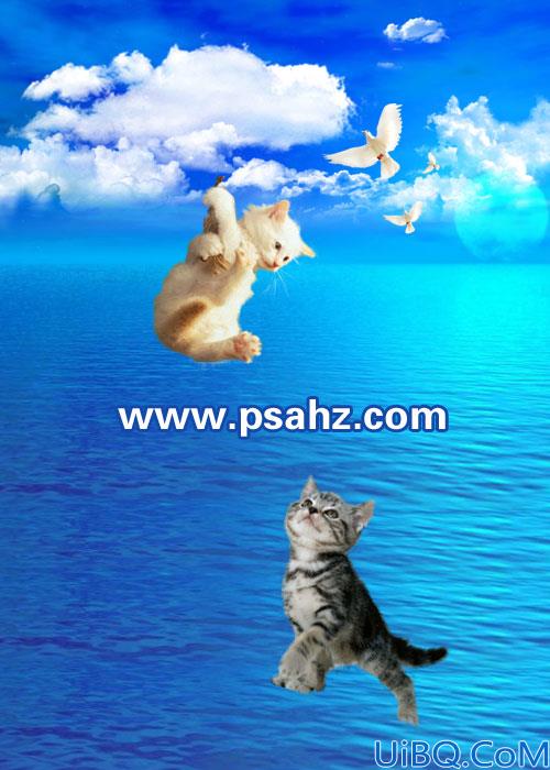 Photoshop合成一幅七夕情人节求爱的猫咪情侣_为了爱情而下凡的猫咪