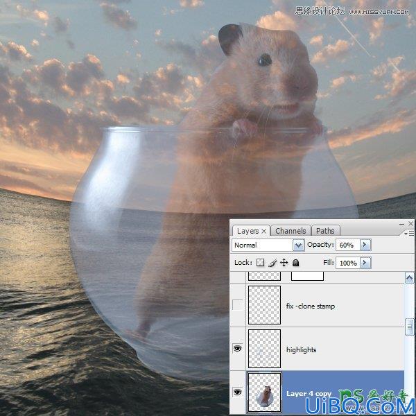 Photoshop创意合成可爱的松鼠海盗船长_海盗鼠船长教程实例