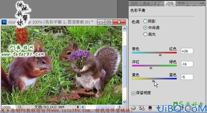 Photoshop合成在花丛中求爱的小松鼠_松鼠情侣求爱图