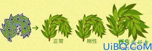 Photoshop圣诞专属字体设计教程：学习手工绘制漂亮的常青树字体效果