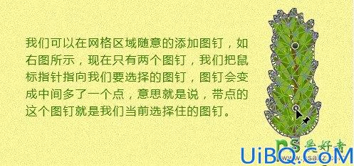 Photoshop圣诞专属字体设计教程：学习手工绘制漂亮的常青树字体效果