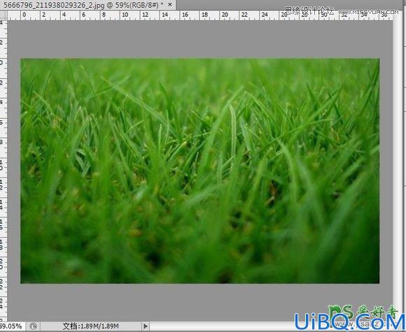Photoshop艺术字设计教程：打造绿色春季草丛中的个性文字 创意艺术字