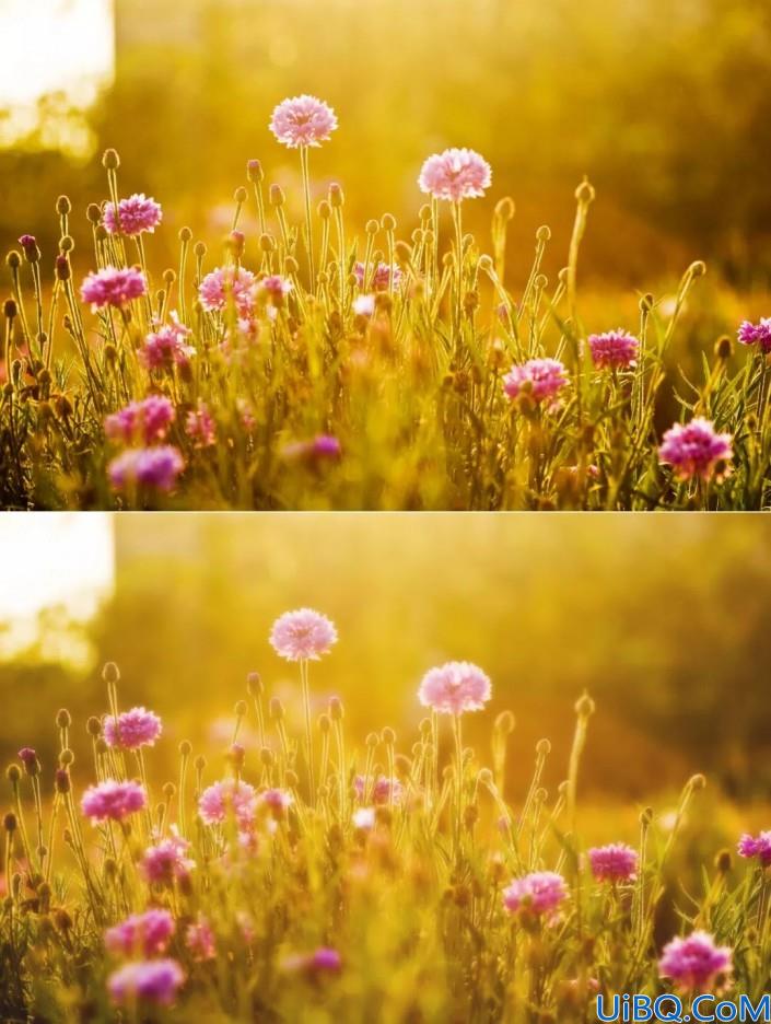 柔焦效果，用Photoshop中的模糊工具给照片制作柔焦效果