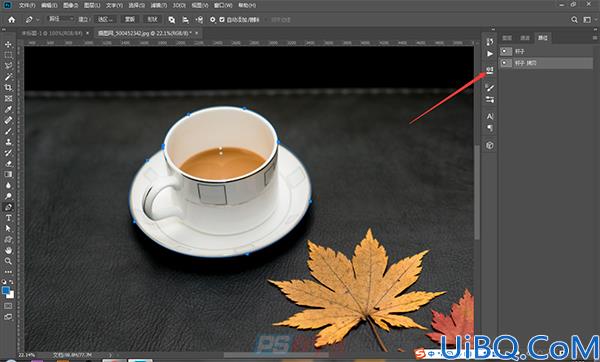 Photoshop路径操作技巧教程：学习怎么样保存、复制和删除路径。