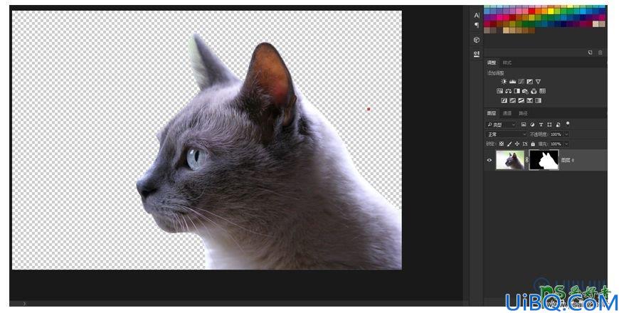 Photoshop动物合成教程：把可爱的猫头合成的鸟身上，像是变异的猫头鹰。