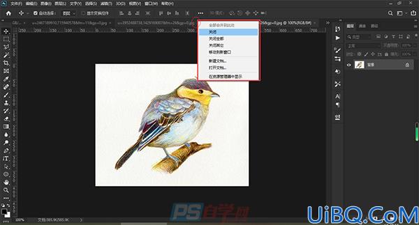 Photoshop新手入门教程：学习认识文档窗口的属性及如何使用。