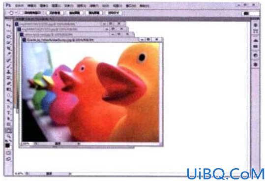 Photoshop图像处理技巧教程：学习如何在多个窗口中查看图像？