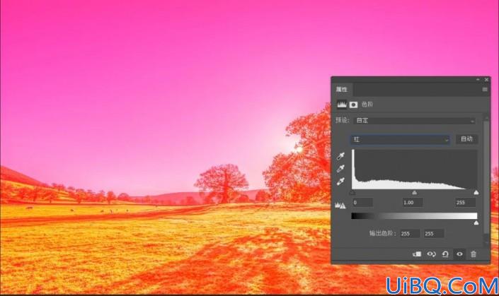 Photoshop调色技巧教程：学习如何合理利用色阶工具给照片进行调色。