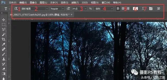 Photoshop技巧教程：学习在照片中添加文字的技巧知识，照片中添加文字。