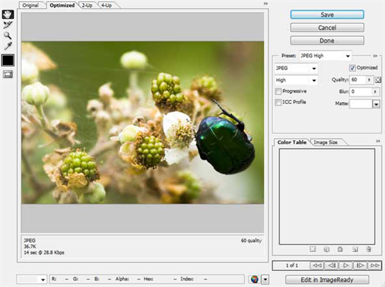 Photoshop技巧：学习图片存储为web所用格式，存储为web所用格式方法。