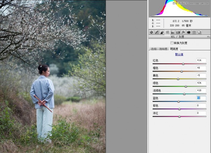 冷色效果，在Photoshop里调出外景梅花人像唯美冷色效果
