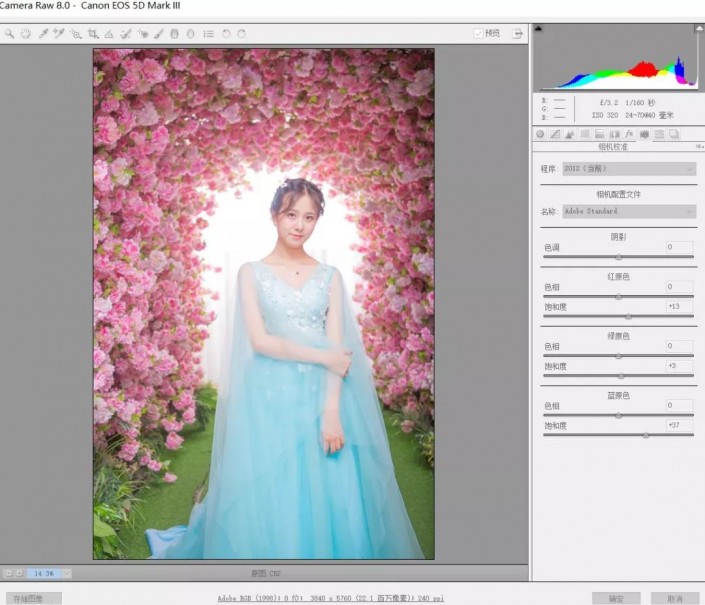 婚纱后期，在Photoshop中制作粉色桃花婚纱人像