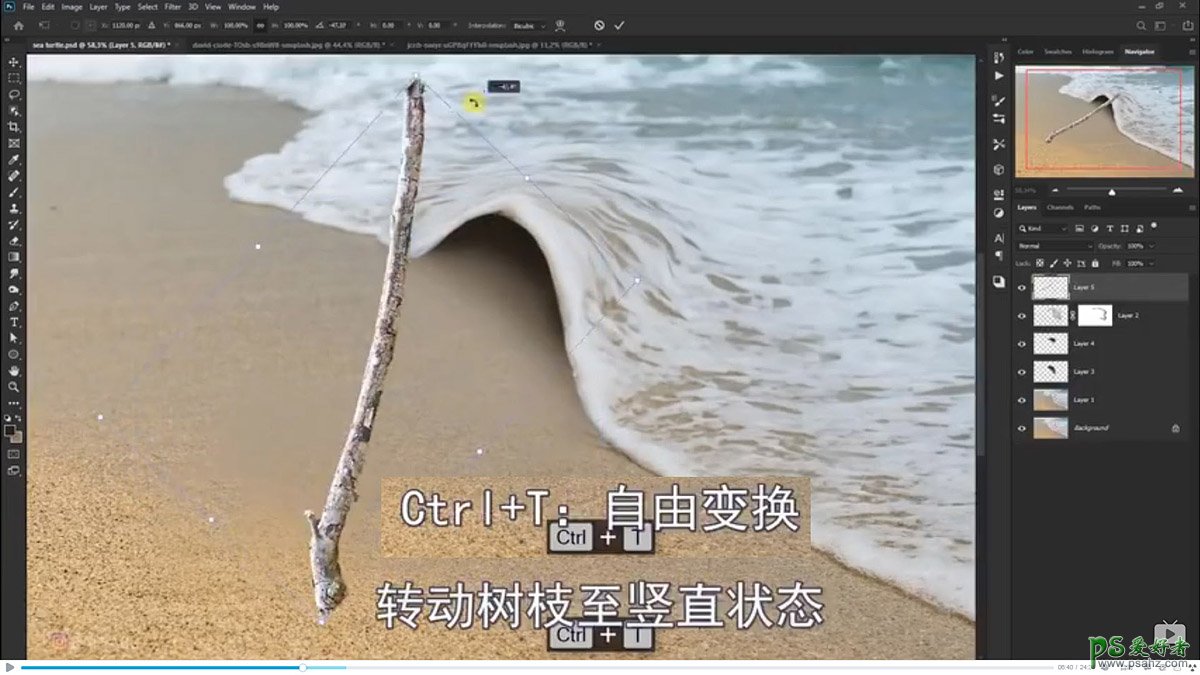 Photoshop创意合成小海龟走进掀开被子效果的海浪中，回家的海龟