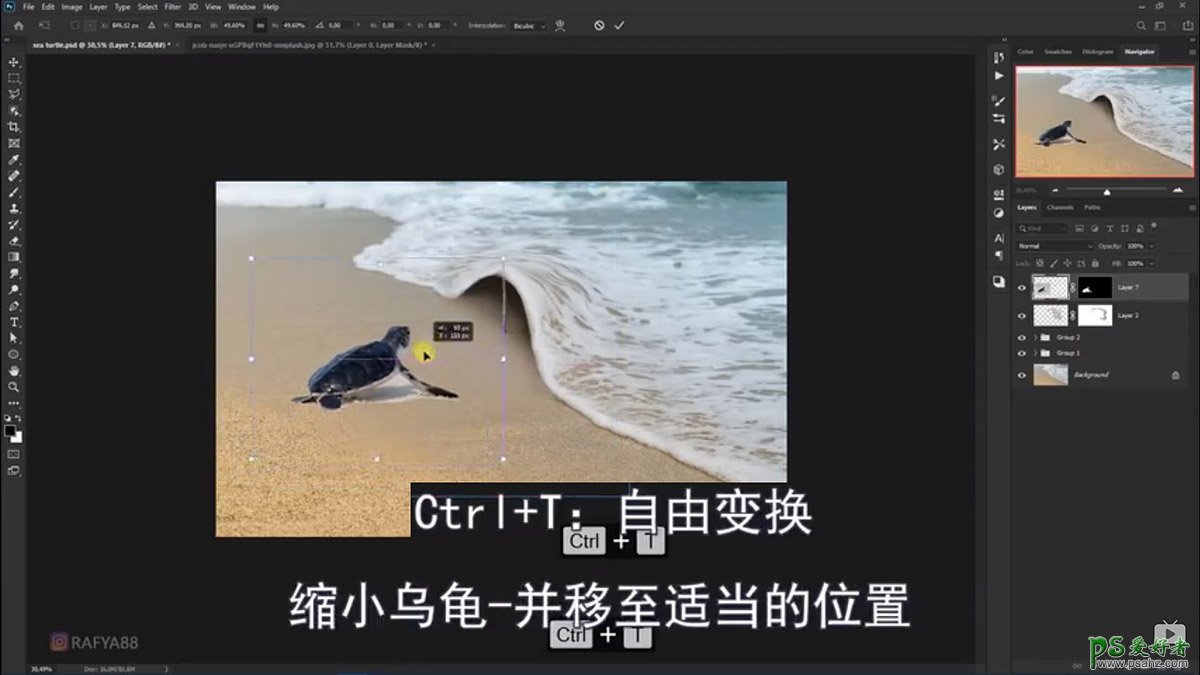 Photoshop创意合成小海龟走进掀开被子效果的海浪中，回家的海龟