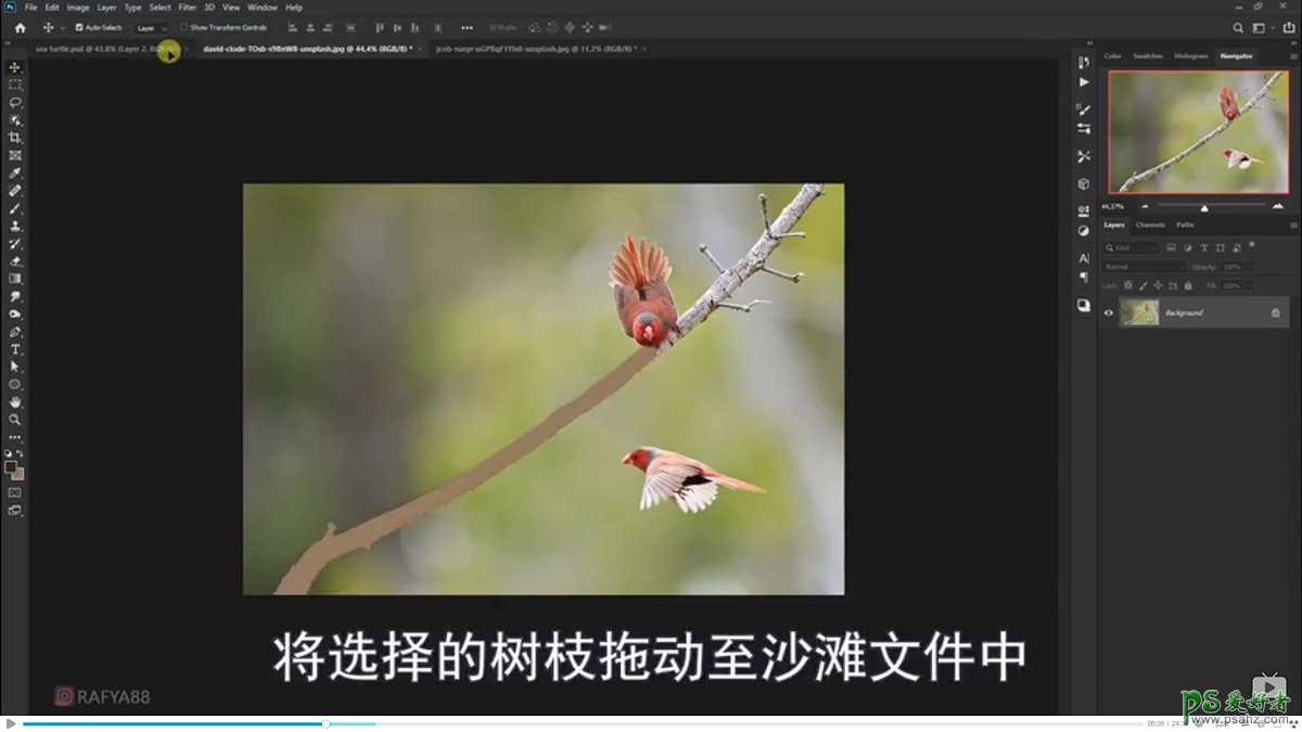 Photoshop创意合成小海龟走进掀开被子效果的海浪中，回家的海龟