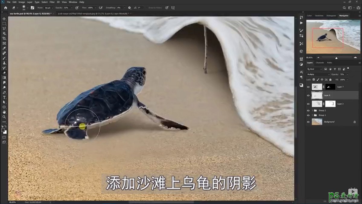 Photoshop创意合成小海龟走进掀开被子效果的海浪中，回家的海龟