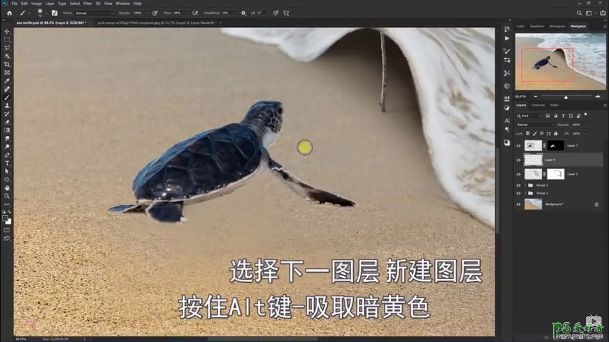 Photoshop创意合成小海龟走进掀开被子效果的海浪中，回家的海龟