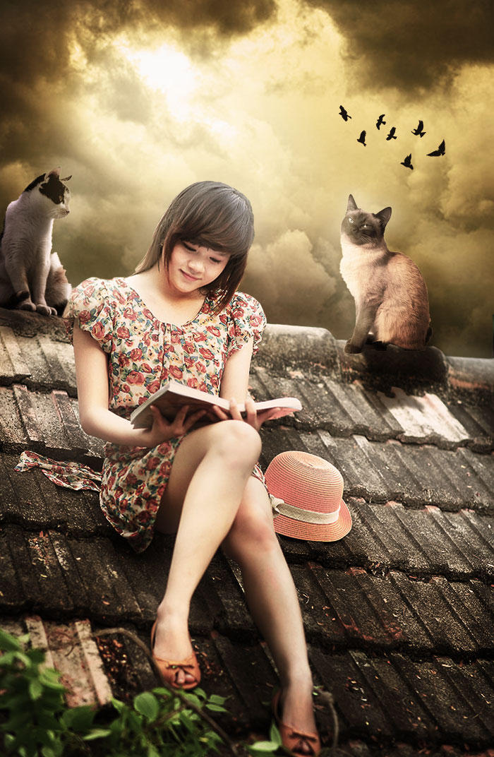 Photoshop人像合成教程：给屋顶上看书的少女换一个天空送两只猫咪陪伴。