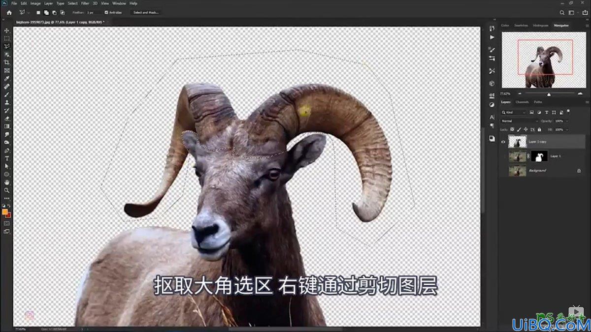 Photoshop创意合成一头发光的野山羊，羊角发光的山羊。