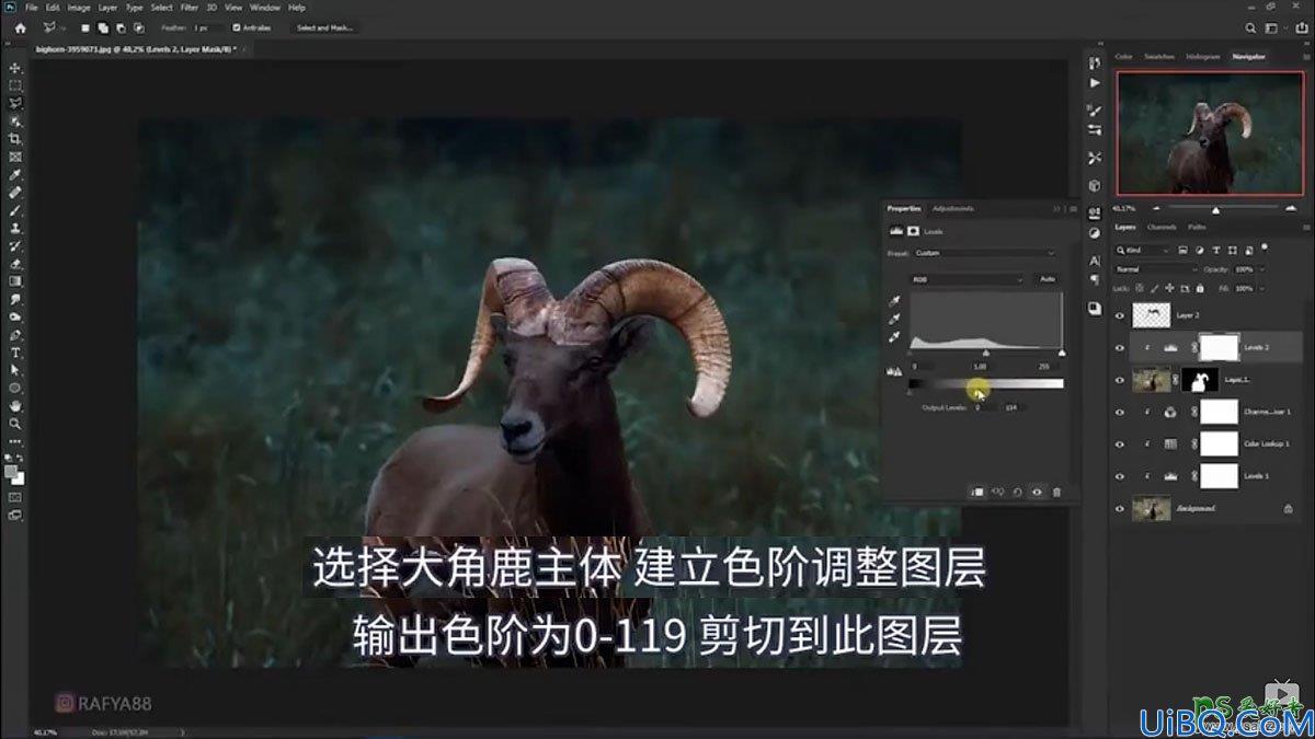 Photoshop创意合成一头发光的野山羊，羊角发光的山羊。