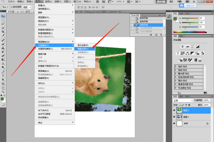 Photoshop工具使用技巧教程：学习矢量蒙版工具处理图像的技巧操作。