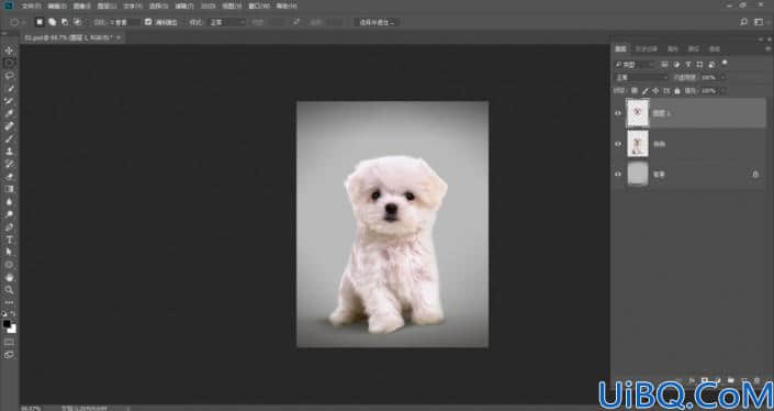 Photoshop创意合成教程：打造戴眼镜时尚汪星人，戴眼镜可爱的小狗狗。