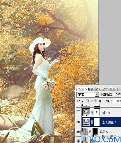 婚纱后期，通过Photoshop调出橙黄色的唯美树林婚纱照片