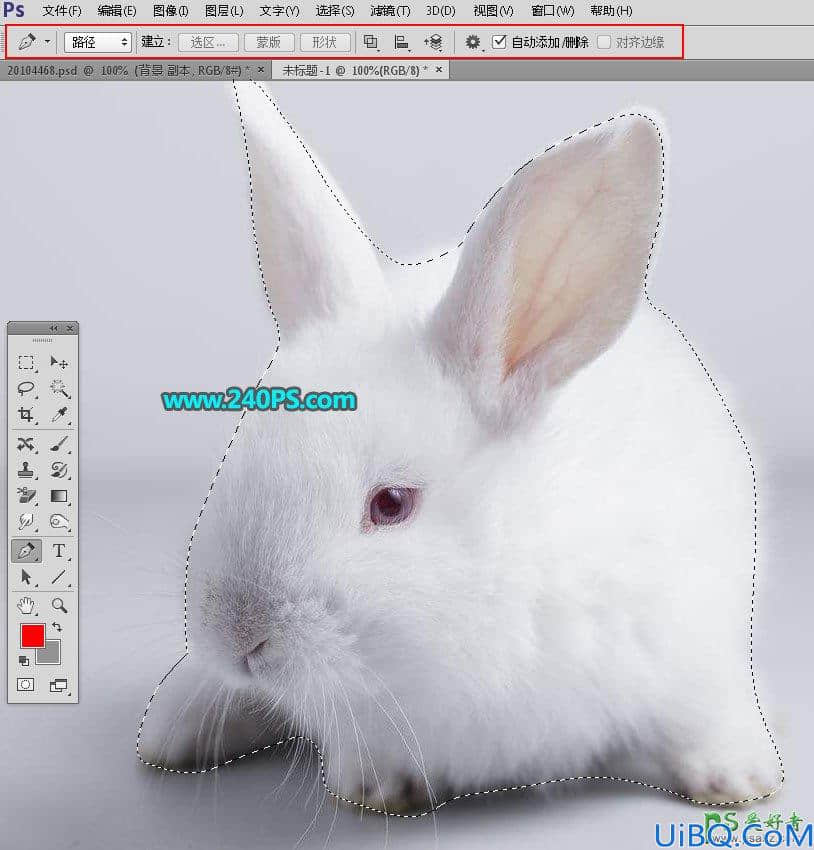 Photoshop新手入门教程：学习调整边缘如何使用，利用调整边缘抠图。