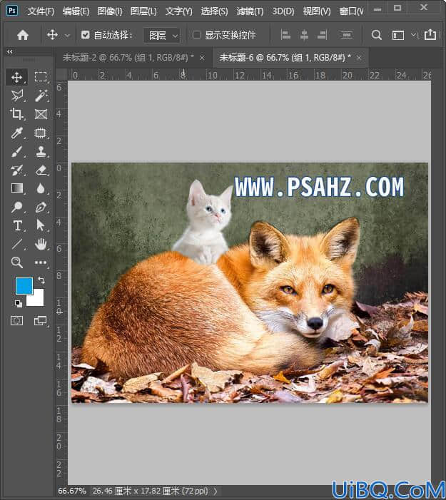 Photoshop抠图教程：使用魔棒工具配合选择并遮住轻松两步给猫咪抠图