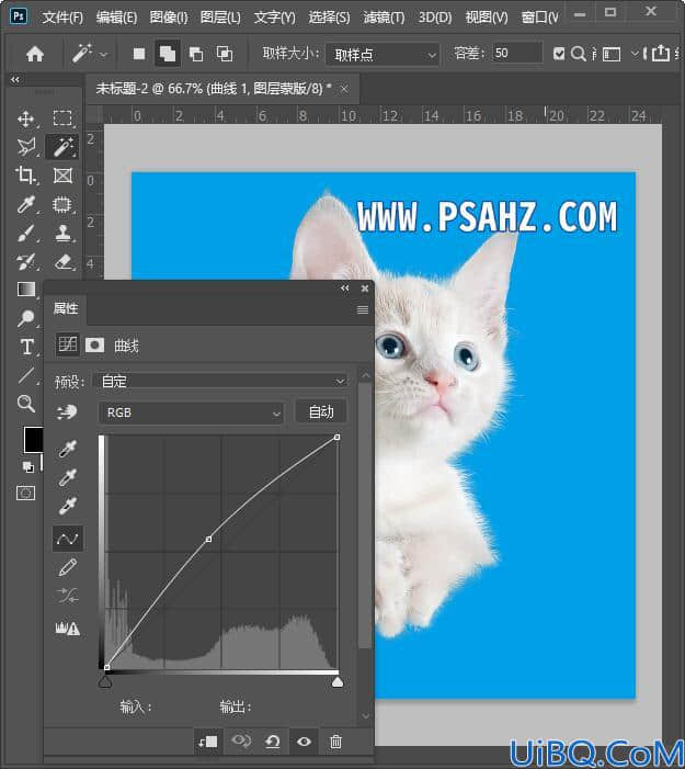 Photoshop抠图教程：使用魔棒工具配合选择并遮住轻松两步给猫咪抠图