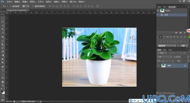 Photoshop快速抠图教程：巧用快速蒙版工具抠出鲜嫩的绿色植物。