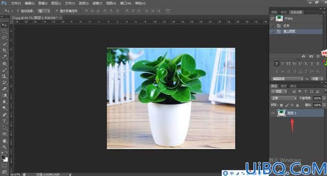 Photoshop快速抠图教程：巧用快速蒙版工具抠出鲜嫩的绿色植物。