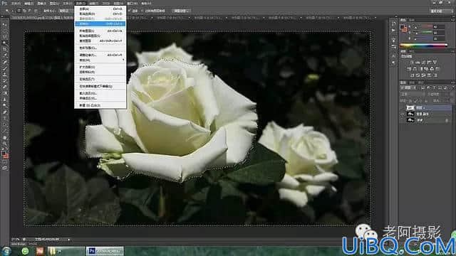 Photoshop工具运用：学习用内容识别工具修复拍摄效果不好的花卉照片。