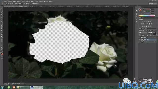 Photoshop工具运用：学习用内容识别工具修复拍摄效果不好的花卉照片。