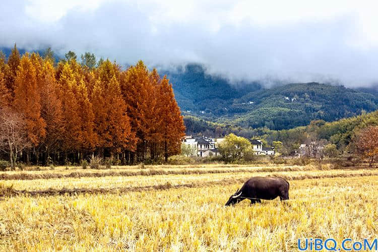 Photoshop调色教程：将普通的秋天风景照调成夏季的色彩并制作成油画效果