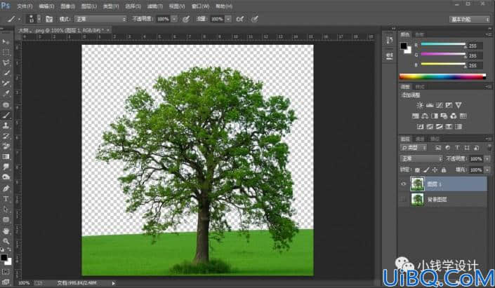 抠大树，通过Photoshop的通道抠出一棵大树