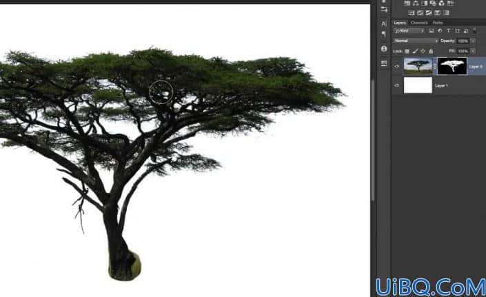 抠大树，用色彩范围抠出背景复杂的树