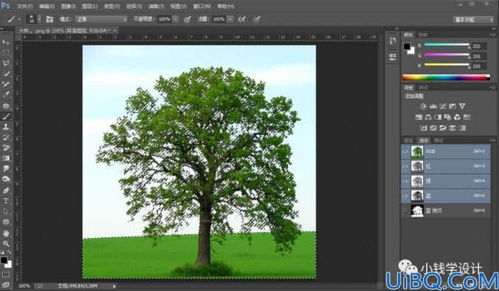 抠大树，通过Photoshop的通道抠出一棵大树