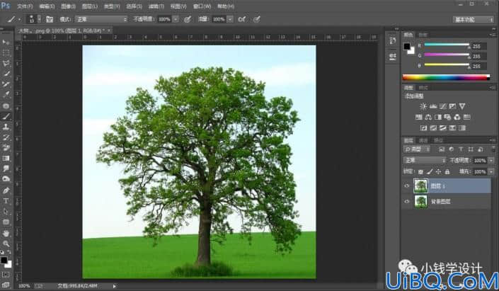 抠大树，通过Photoshop的通道抠出一棵大树
