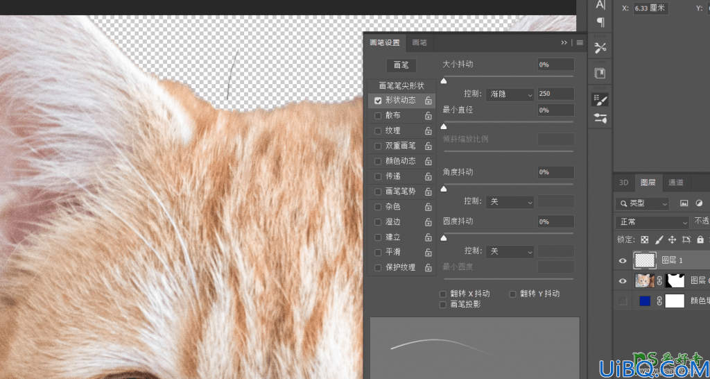 Photoshop动物抠图教程：学习给可爱的小猫图片进行抠图。