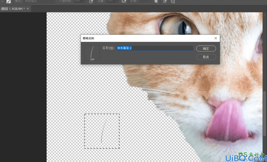 Photoshop动物抠图教程：学习给可爱的小猫图片进行抠图。